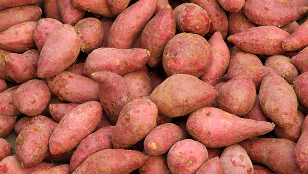 Patates douces suisses acheter