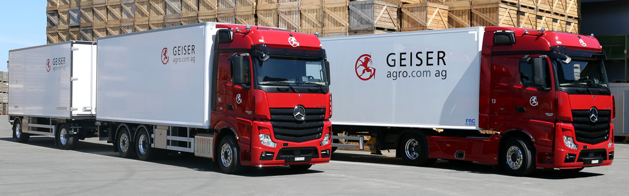 Transporte Transporte